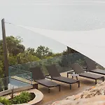 Puccinelli *