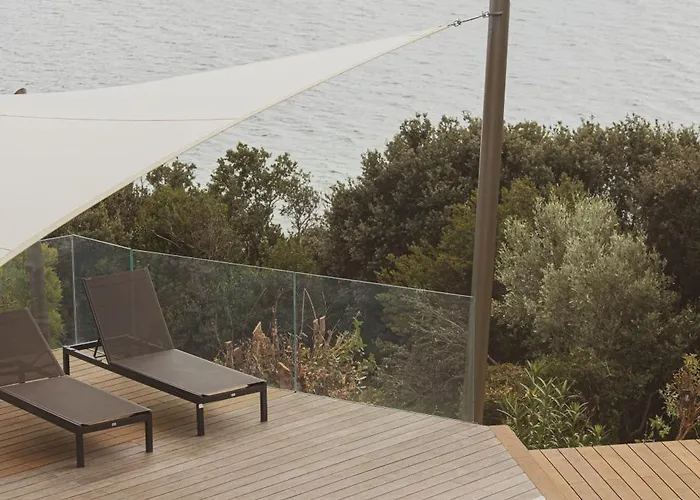 Puccinelli פורטו-וישיו